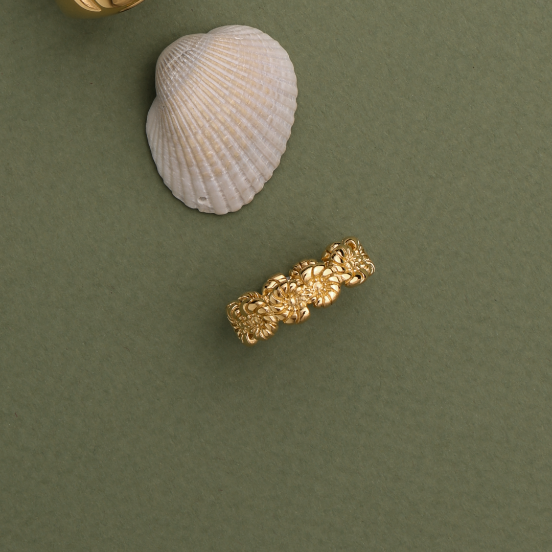Nautilus Ring