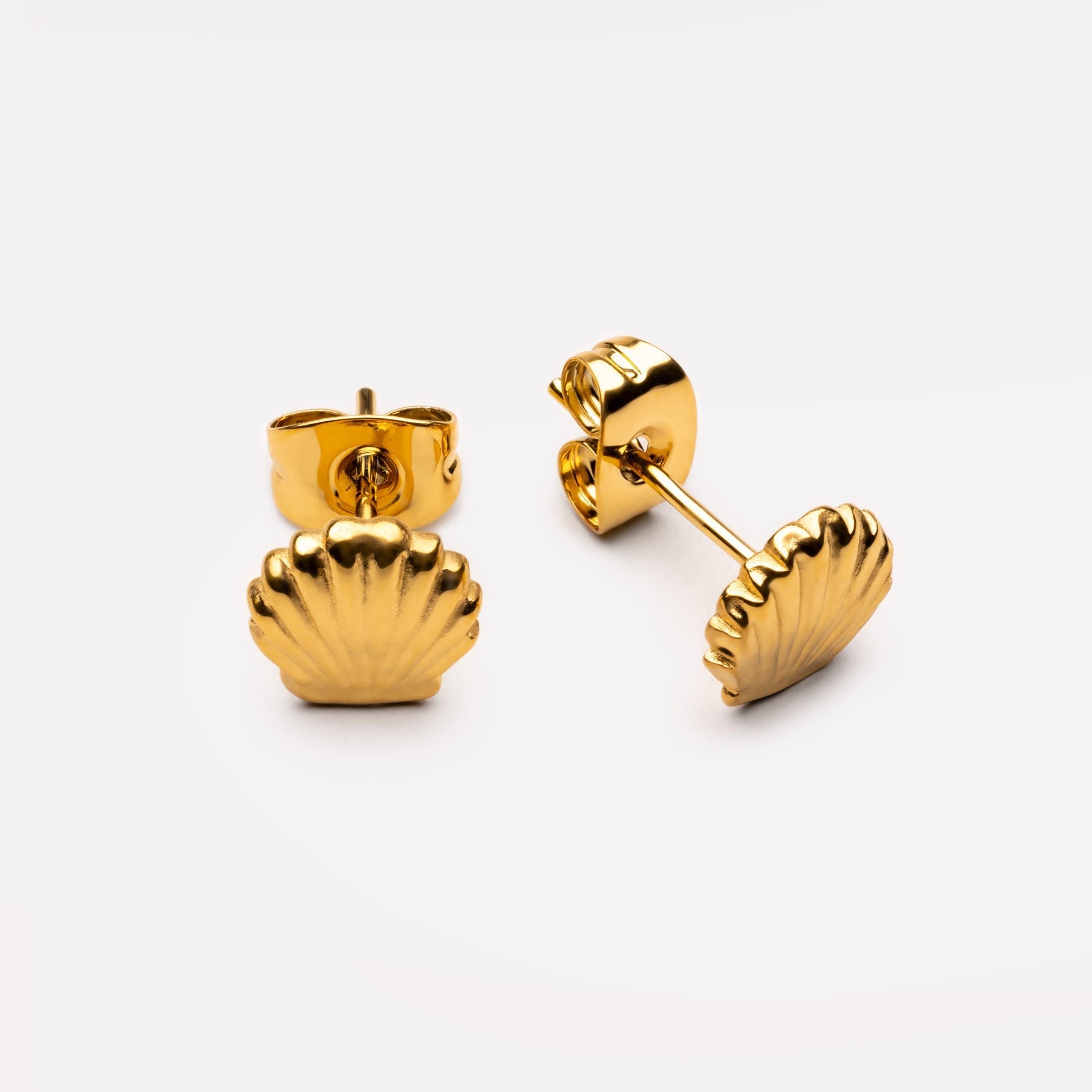 Shell Stud Earrings